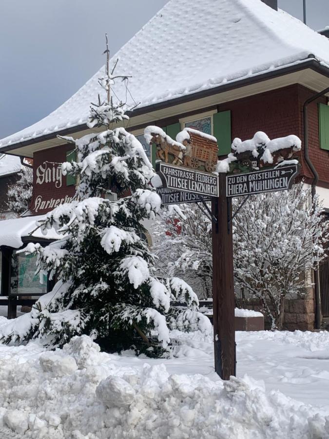 Fewo Fuchs Saig Lenzkirch Kültér fotó