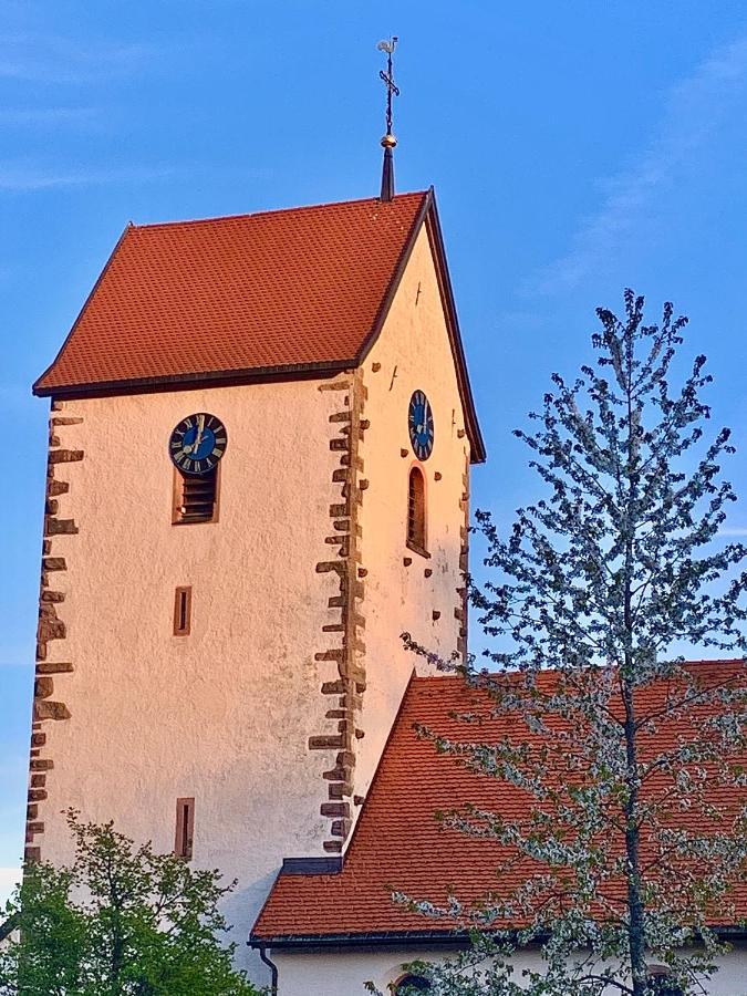 Fewo Fuchs Saig Lenzkirch Kültér fotó