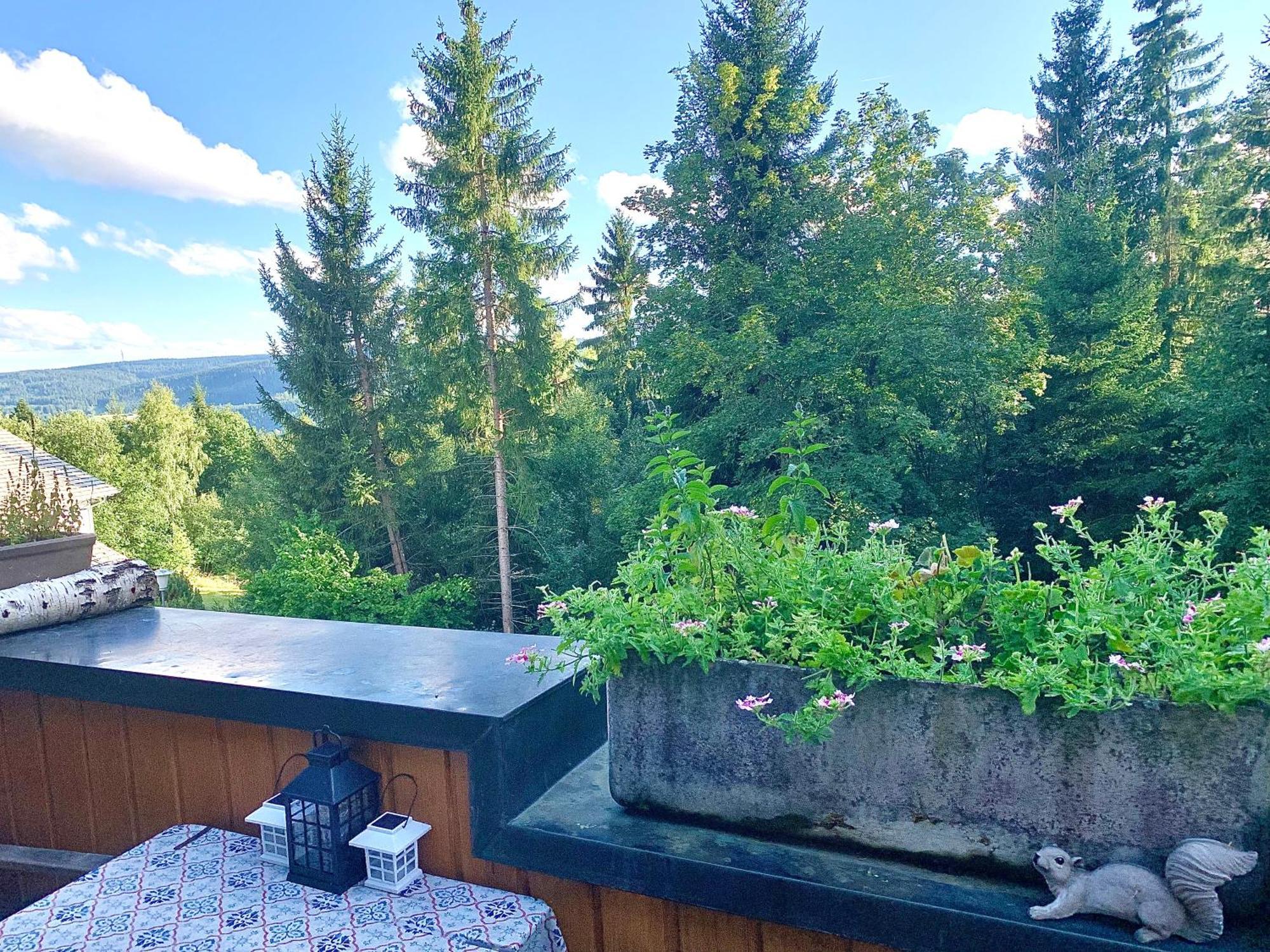 Fewo Fuchs Saig Lenzkirch Szoba fotó